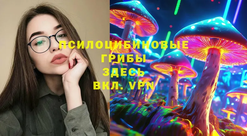 Галлюциногенные грибы Psilocybe  Орлов 